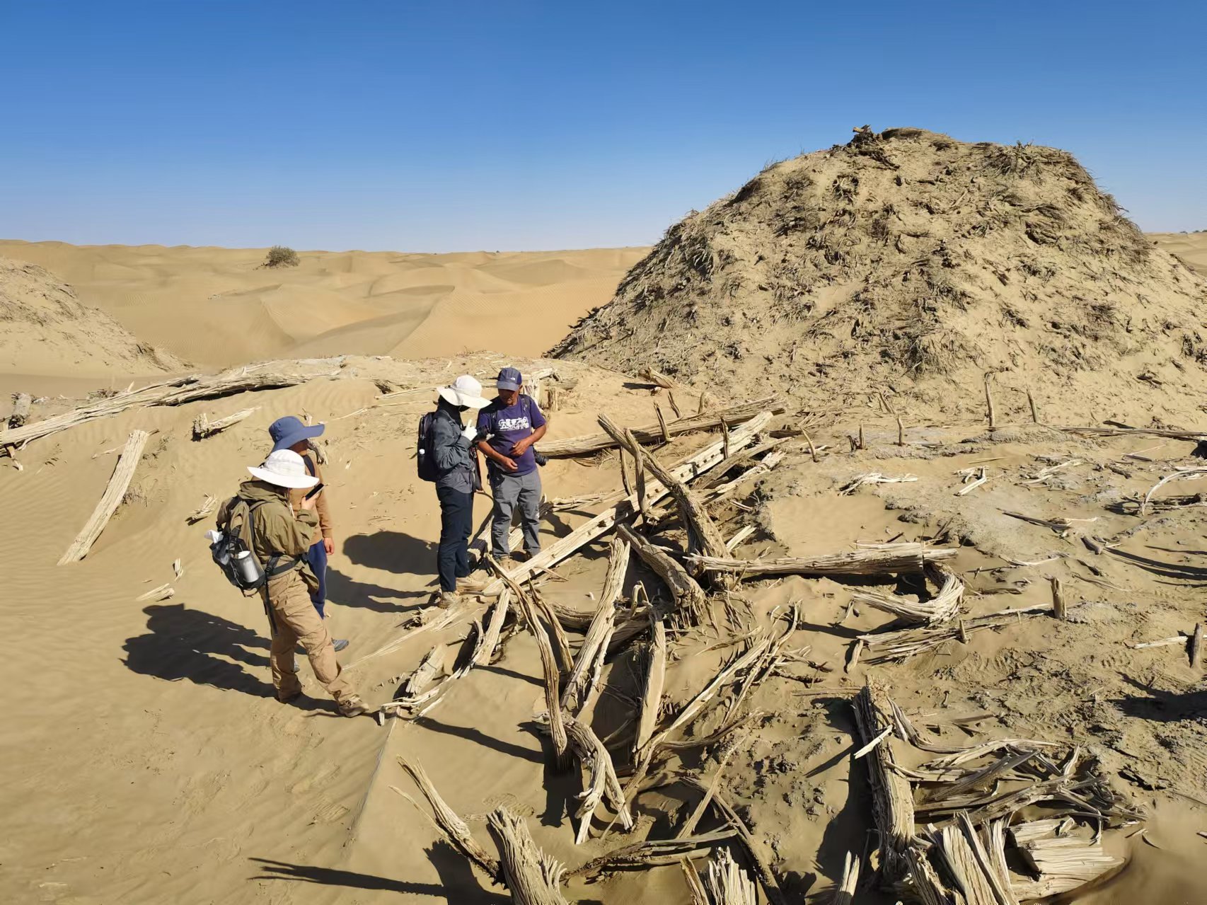 mmexport1733371957107