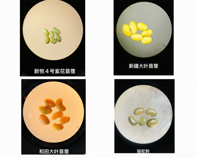 8e6951e5e26734480d61f96e1eace168.png 8e6951e5e26734480d61f96e1eace168.png